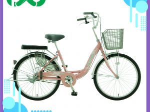 Xe-đạp-Asama-CB-2402-Hồng
